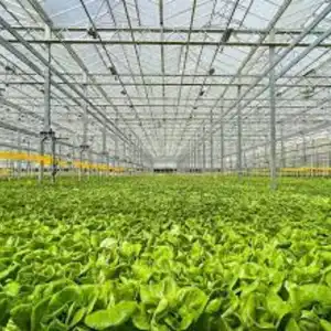 1739962540_Greenhouse Supplies & Equipment.webp